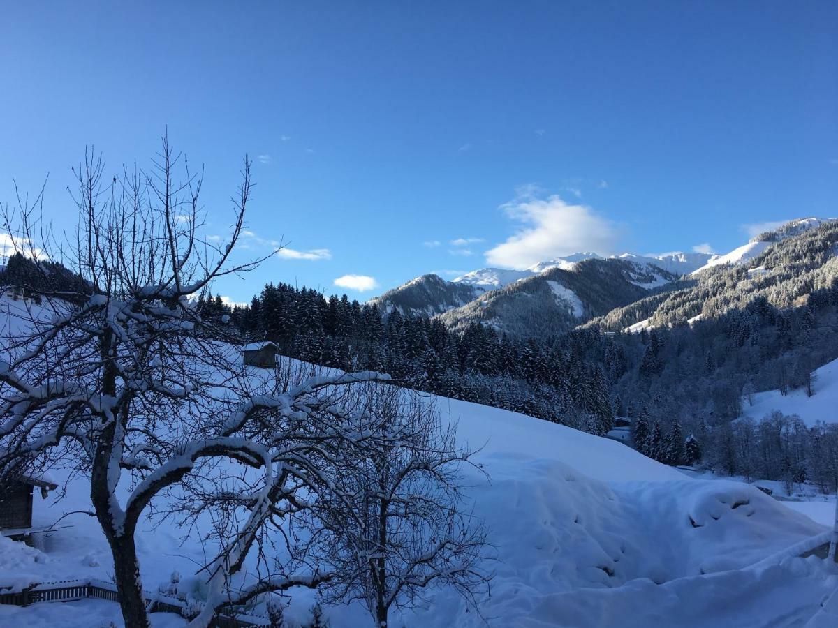 Beim Rohrer Apartment Kirchberg in Tirol Exterior foto