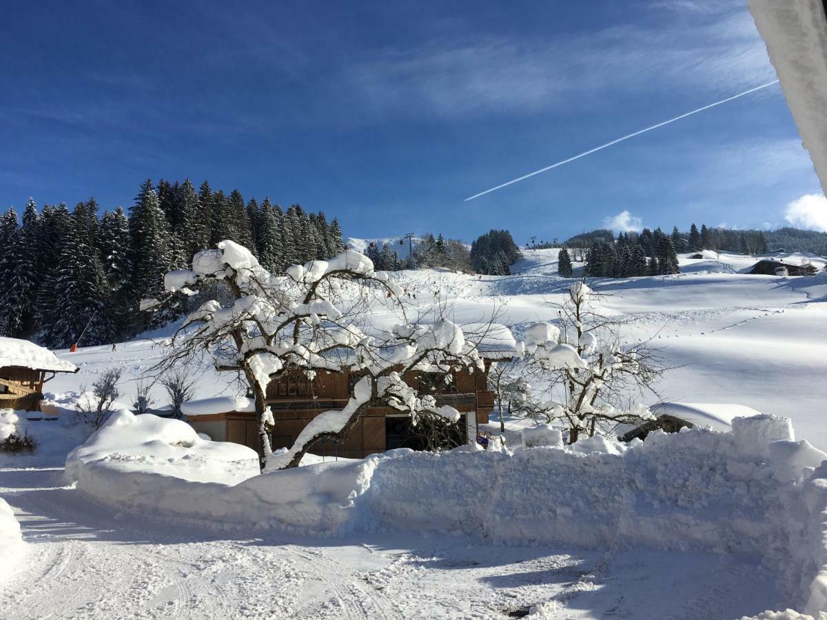 Beim Rohrer Apartment Kirchberg in Tirol Exterior foto