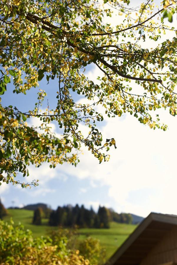 Beim Rohrer Apartment Kirchberg in Tirol Exterior foto
